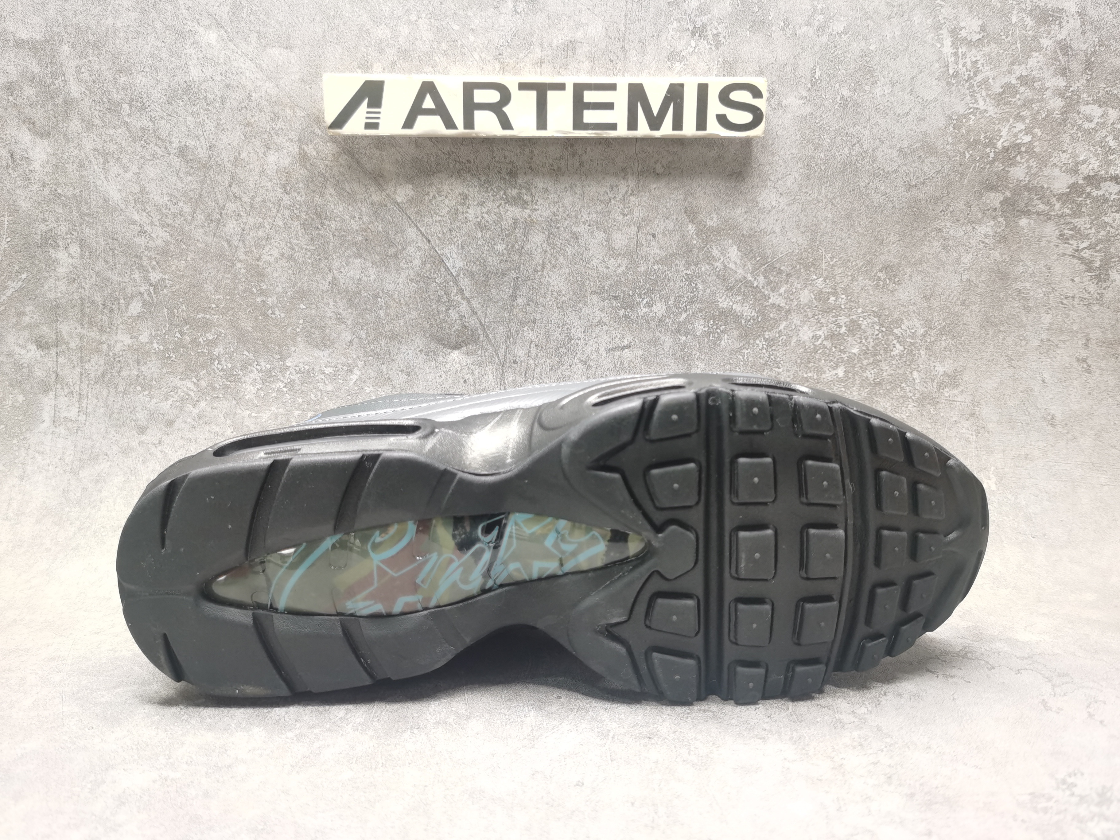 UA Nike Air Max 95 SP