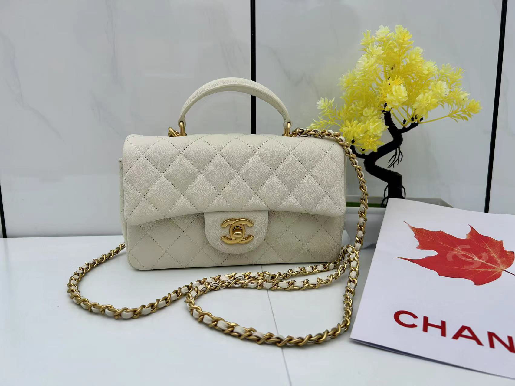 Ch*el mini cf handle 20x12x6cm