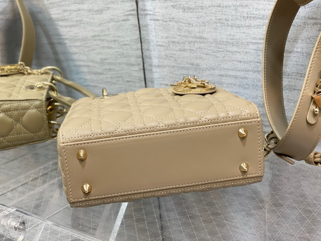 medium lady D*or bag 24 x 20 x 12 cm