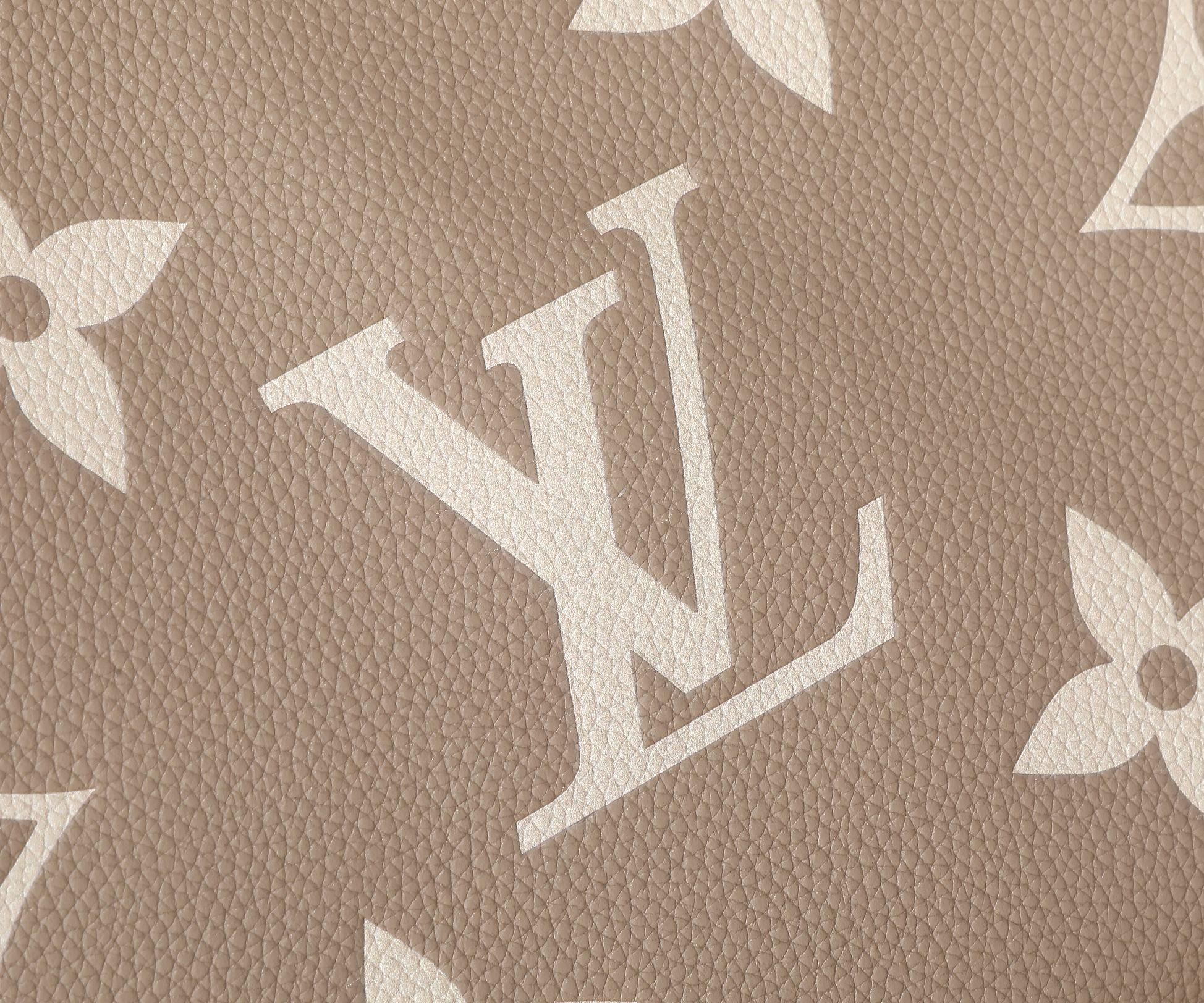 LV  CarryAll PM M47180 11.6x9.4x4.7 inches